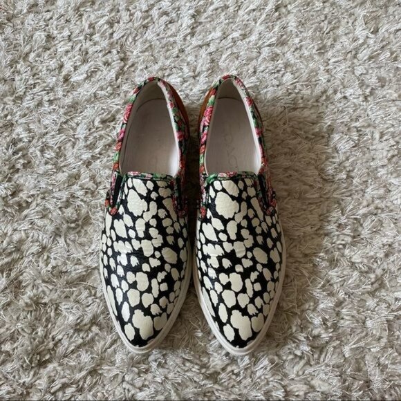 Coach C103 Pointy Toe Zebra Print Sneakers Sz 6.5 - Picture 4 of 16